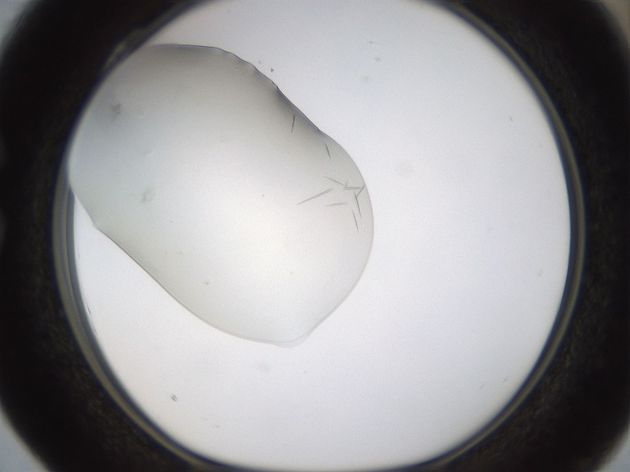 folderID389_plateID1389_batchID5012_wellNum28_profileID1_d1_r84909_ef.jpg