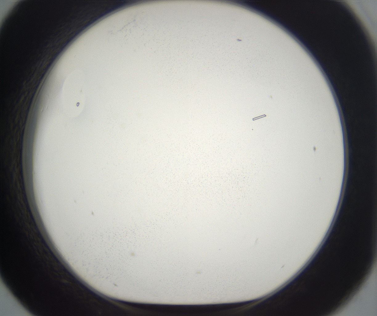 folderID395_plateID2395_batchID11264_wellNum43_profileID1_d1_r177421_ef.jpg