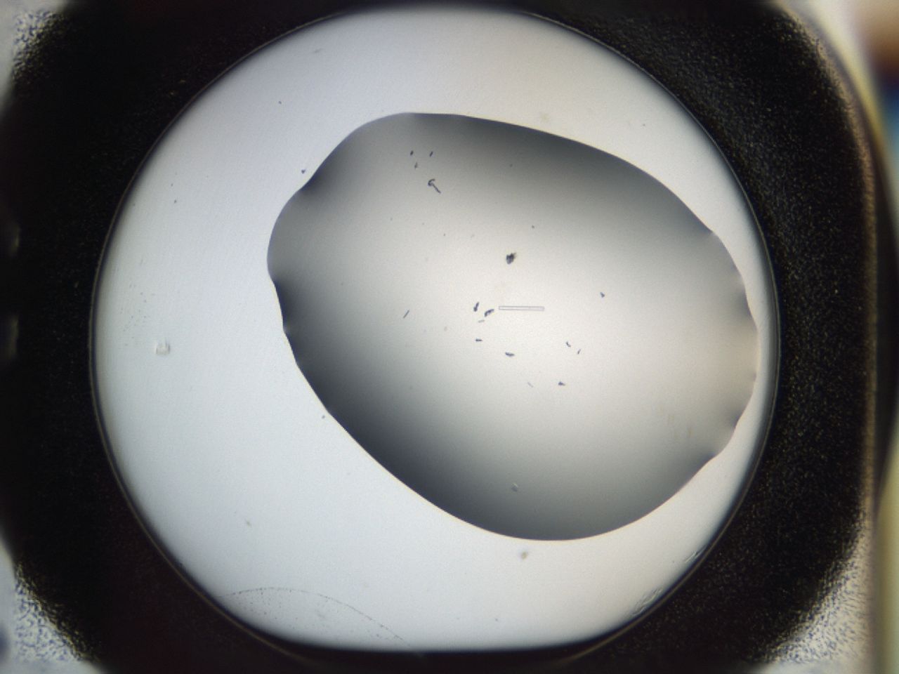 03gd_C5_ImagerDefaults_7.jpg