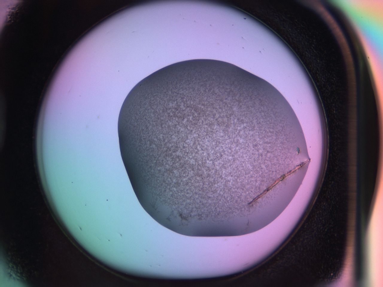 03hq_D5_ImagerDefaults_6.jpg