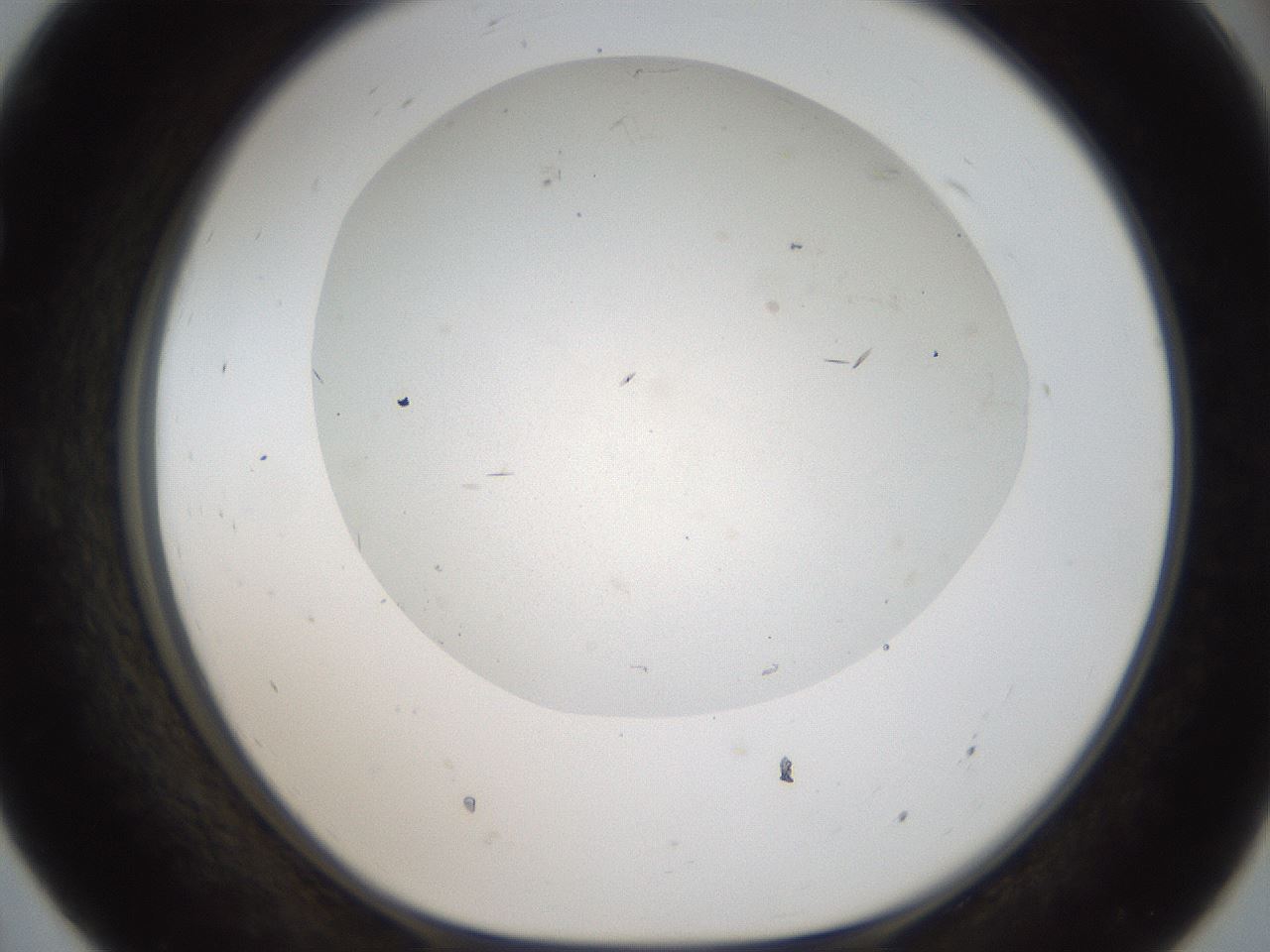 folderID44_plateID2044_batchID8995_wellNum55_profileID1_d1_r137709_ef.jpg
