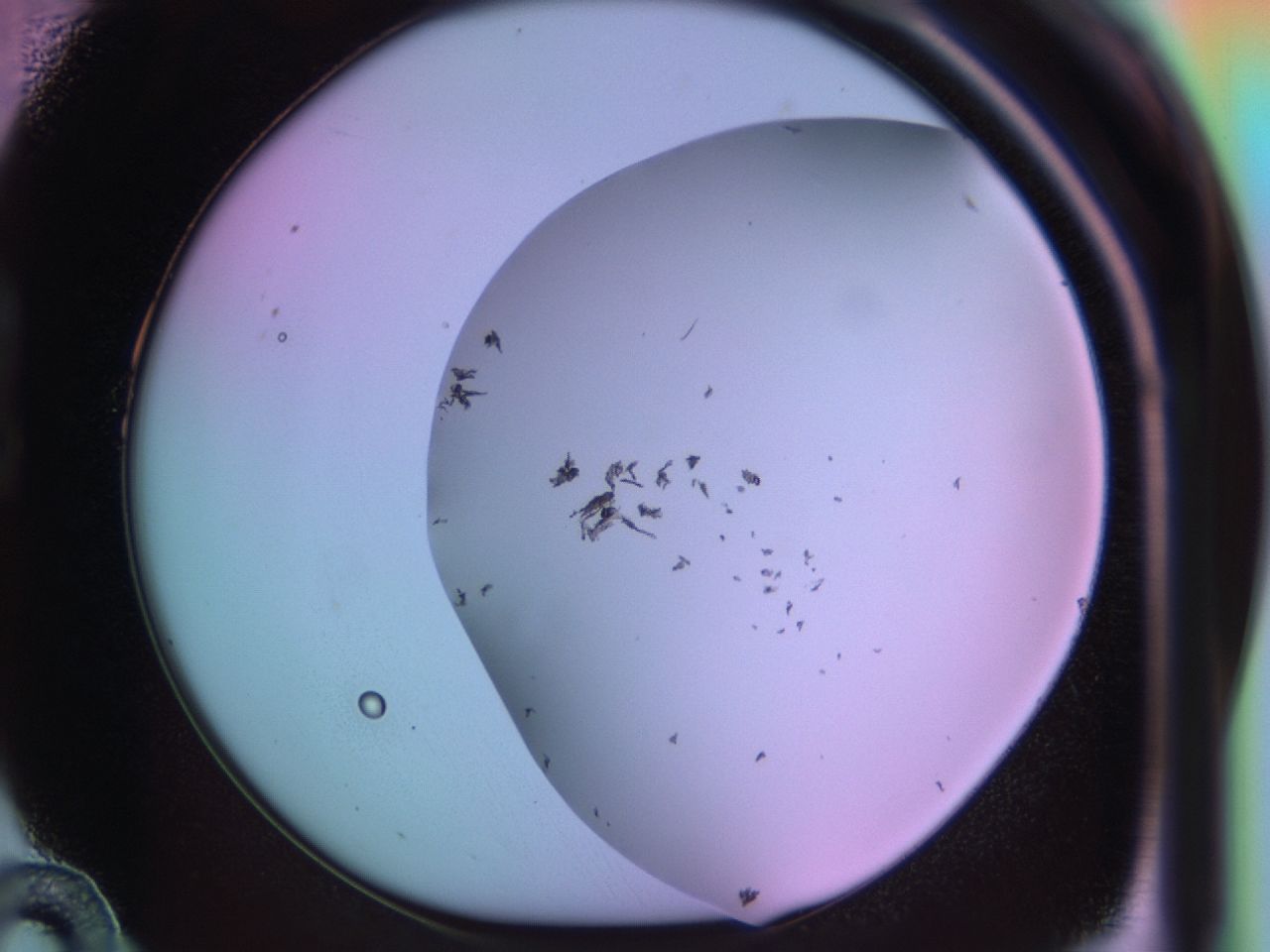 03hs_B10_ImagerDefaults_6.jpg