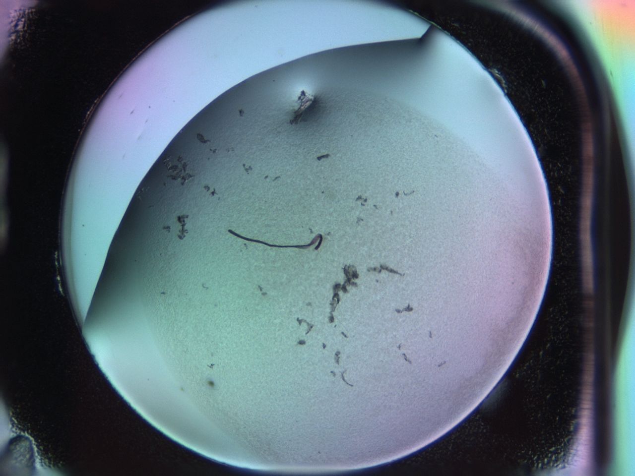 03hs_B11_ImagerDefaults_6.jpg