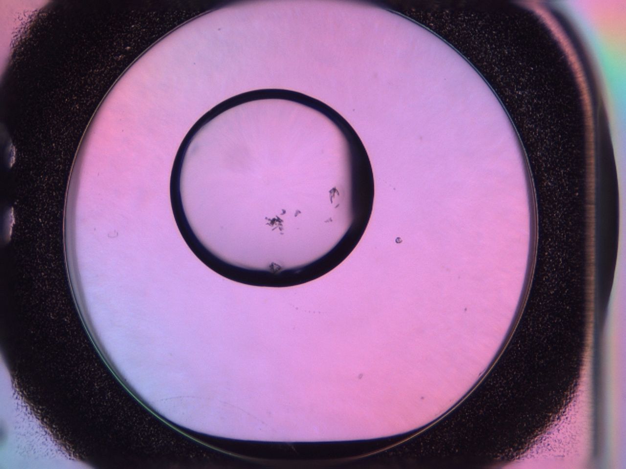 03hz_C5_ImagerDefaults_6.jpg
