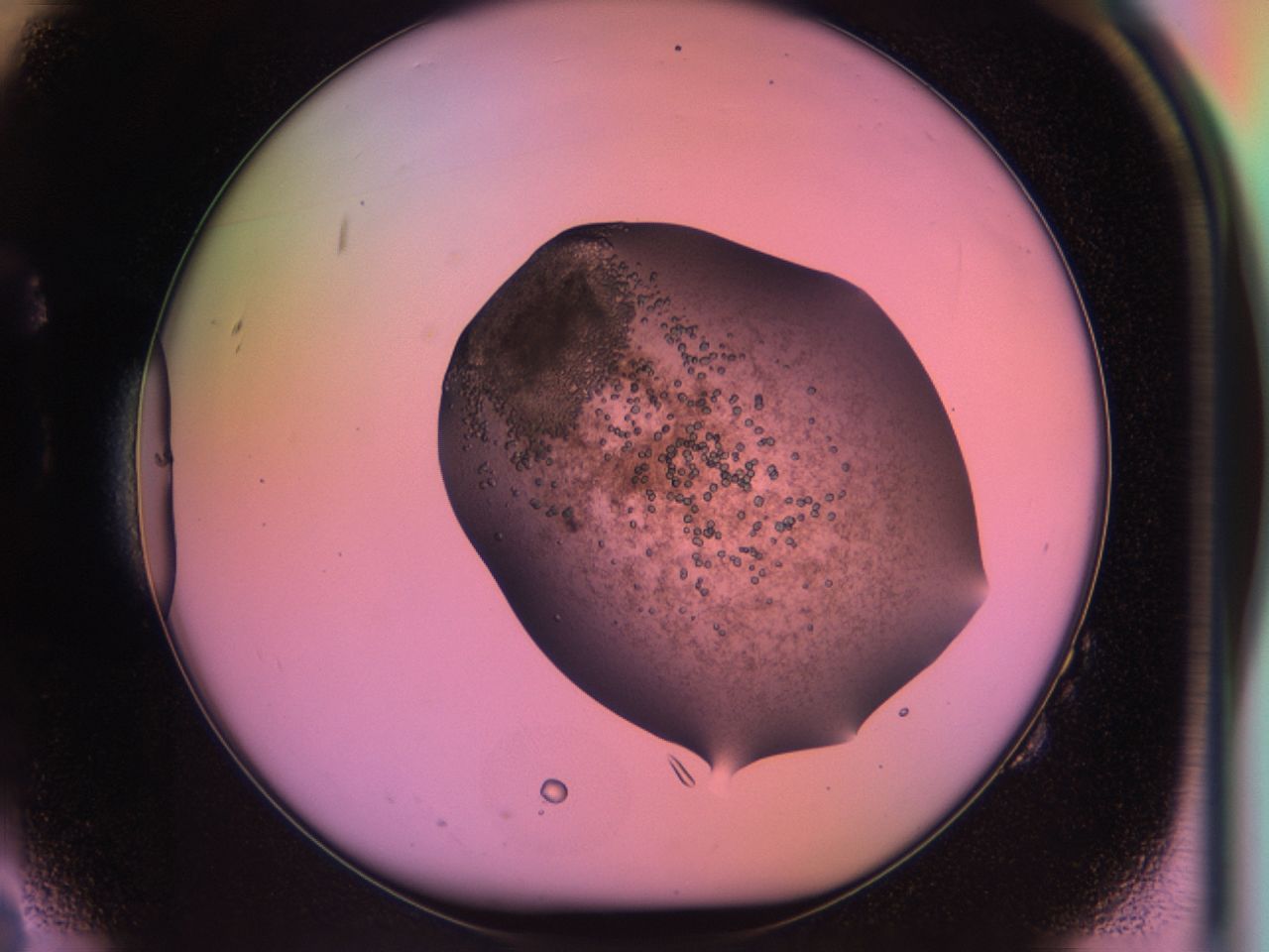 03i6_B2_ImagerDefaults_6.jpg