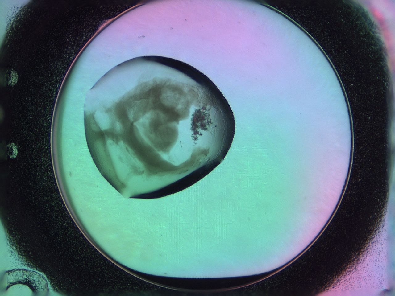 03i7_E12_ImagerDefaults_7.jpg