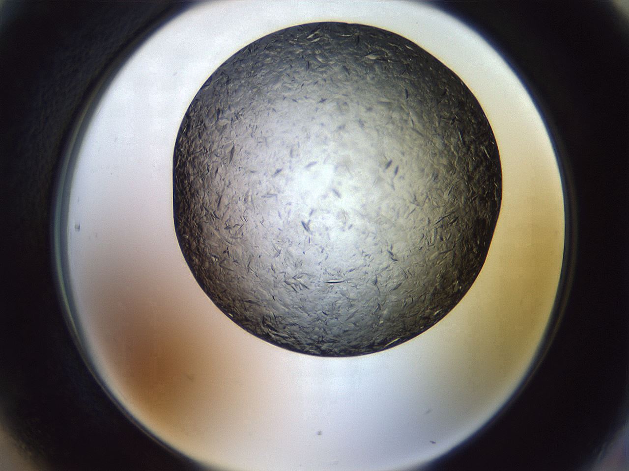 folderID470_plateID1470_batchID5701_wellNum90_profileID1_d2_r93144_ef.jpg