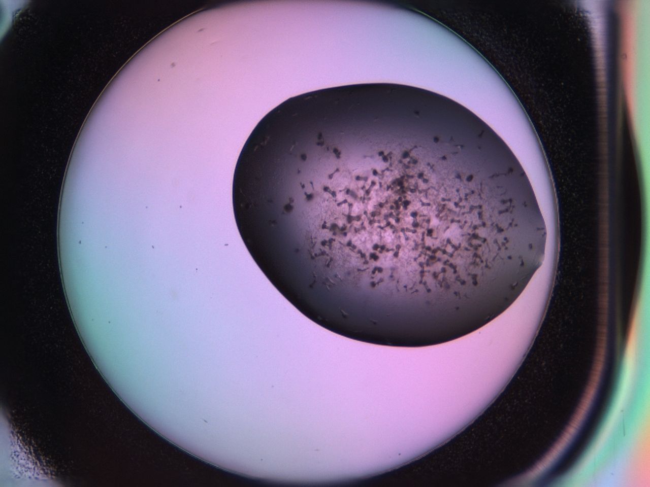 03ia_D2_ImagerDefaults_6.jpg