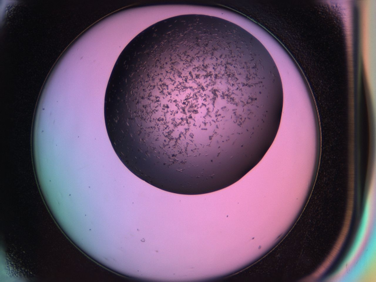 03ia_D8_ImagerDefaults_6.jpg