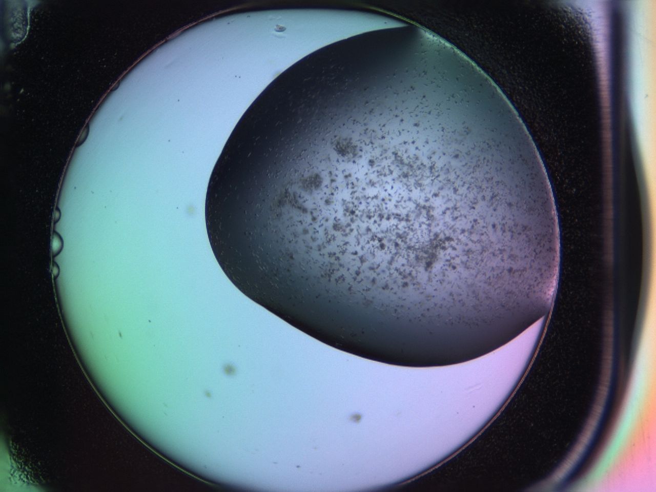 03ia_D11_ImagerDefaults_6.jpg