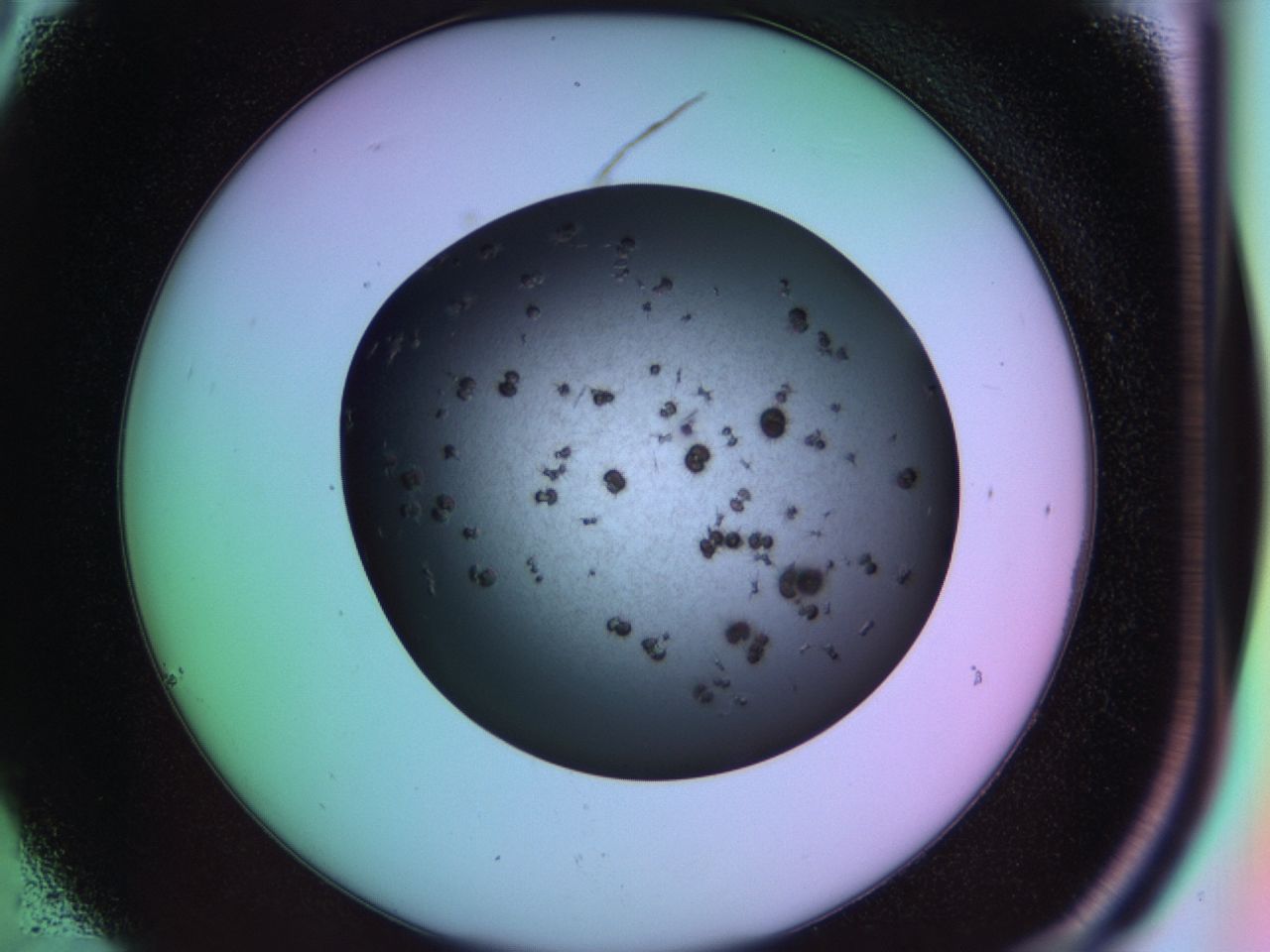 03ia_C6_ImagerDefaults_6.jpg