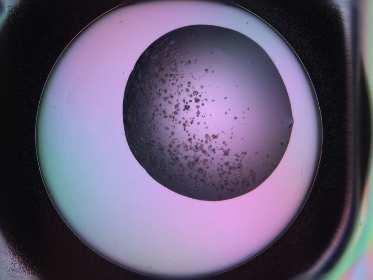 03ia_C2_ImagerDefaults_6.jpg