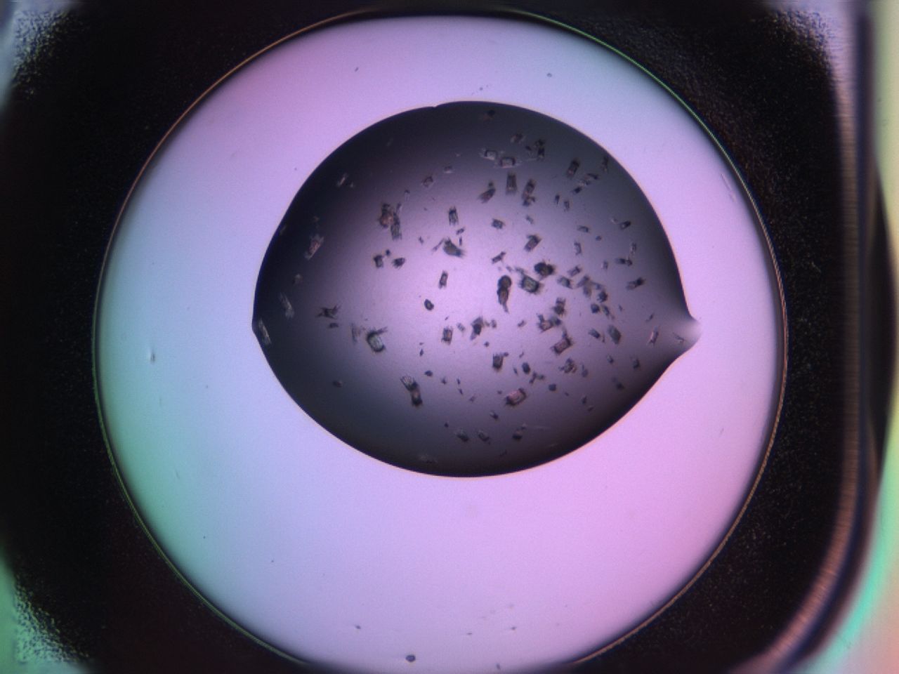 03ia_B8_ImagerDefaults_7.jpg