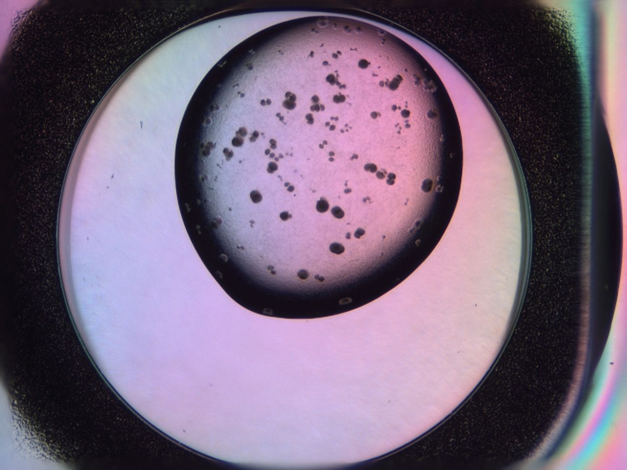 03ib_H7_ImagerDefaults_6.jpg