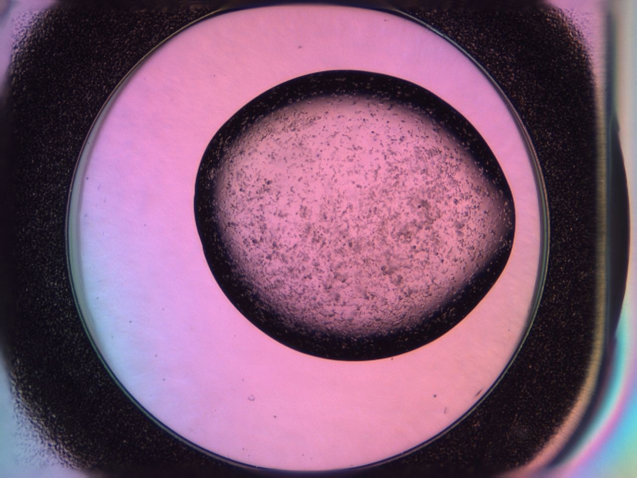 03ib_D8_ImagerDefaults_6.jpg