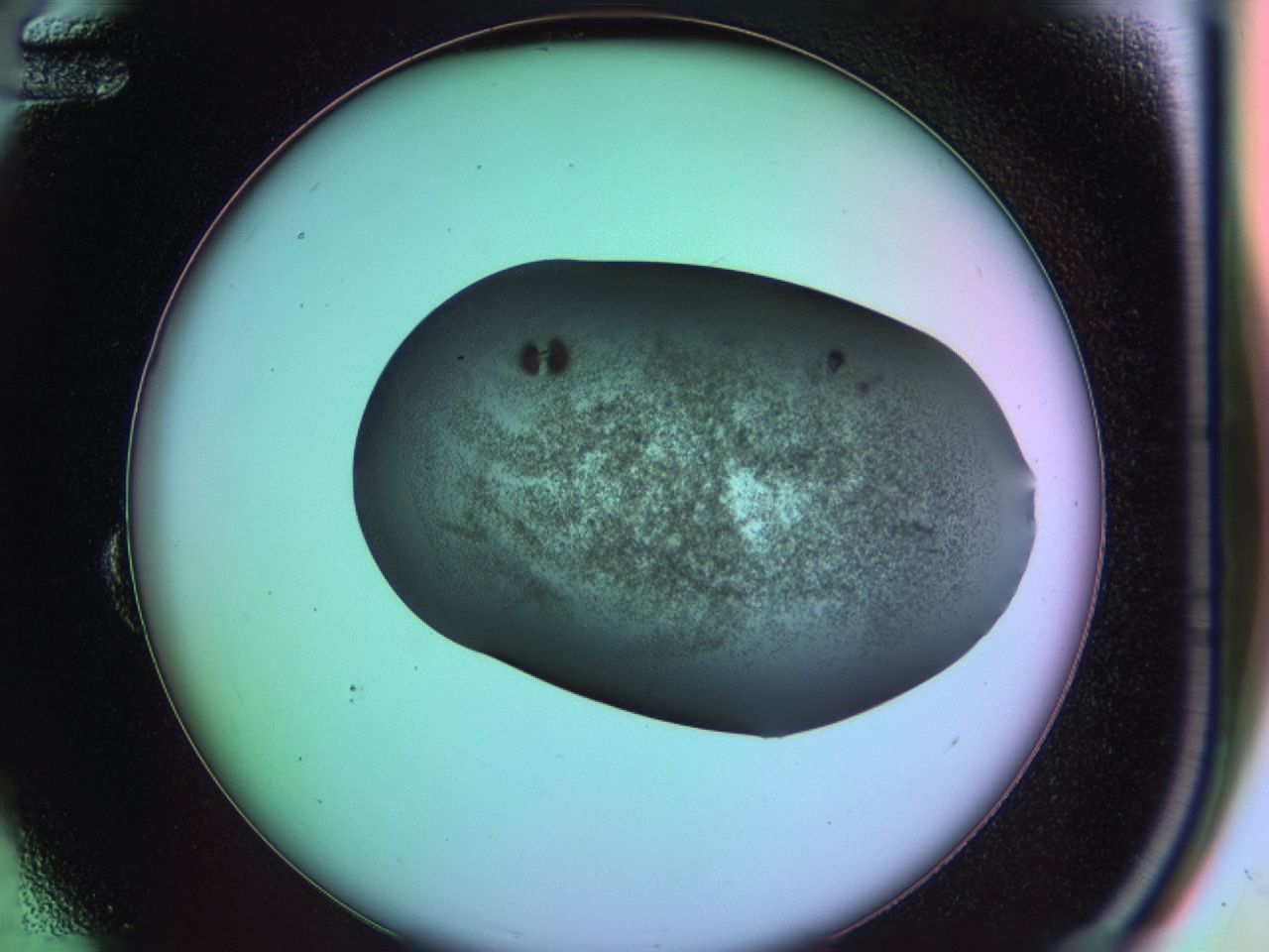 03ic_B12_ImagerDefaults_6.jpg