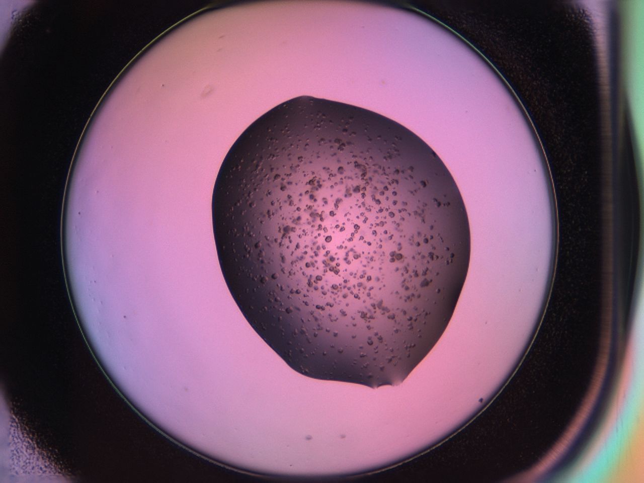 03ic_C1_ImagerDefaults_6.jpg