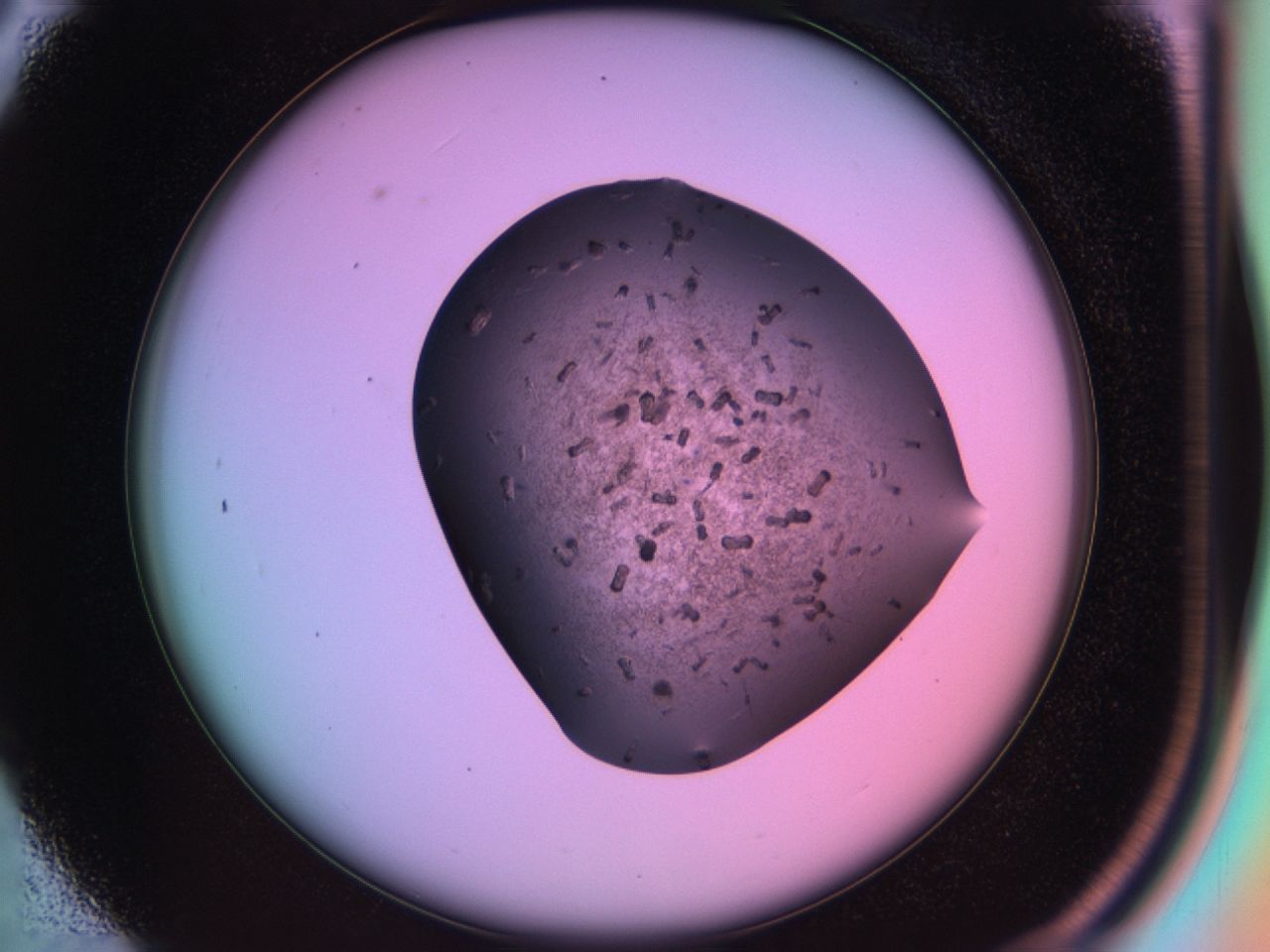 03ic_C3_ImagerDefaults_6.jpg