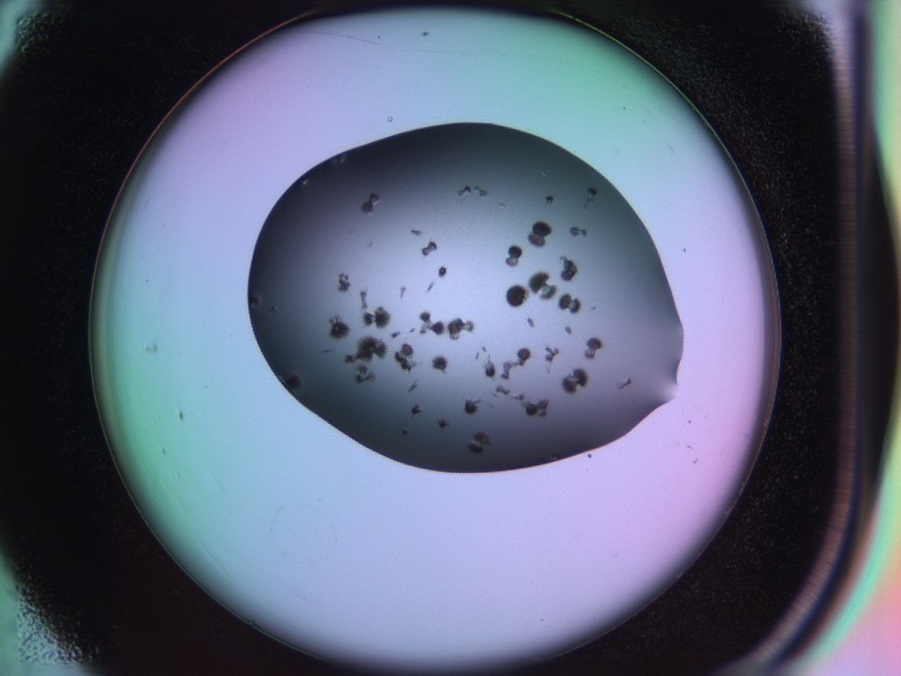 03ic_C4_ImagerDefaults_6.jpg