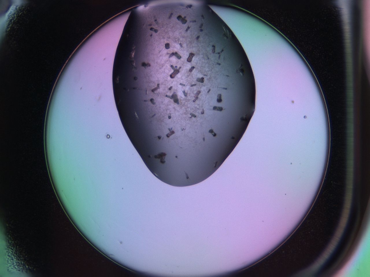 03ic_A3_ImagerDefaults_6.jpg
