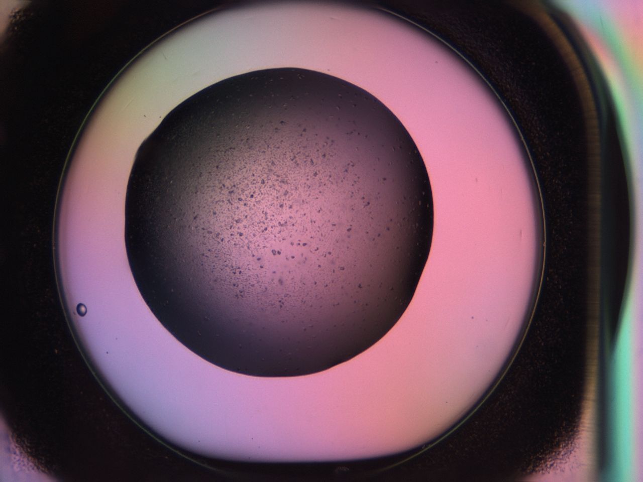 03ic_E2_ImagerDefaults_6.jpg