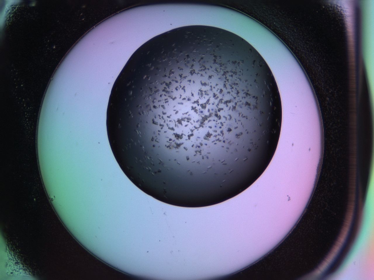 03ic_C6_ImagerDefaults_6.jpg