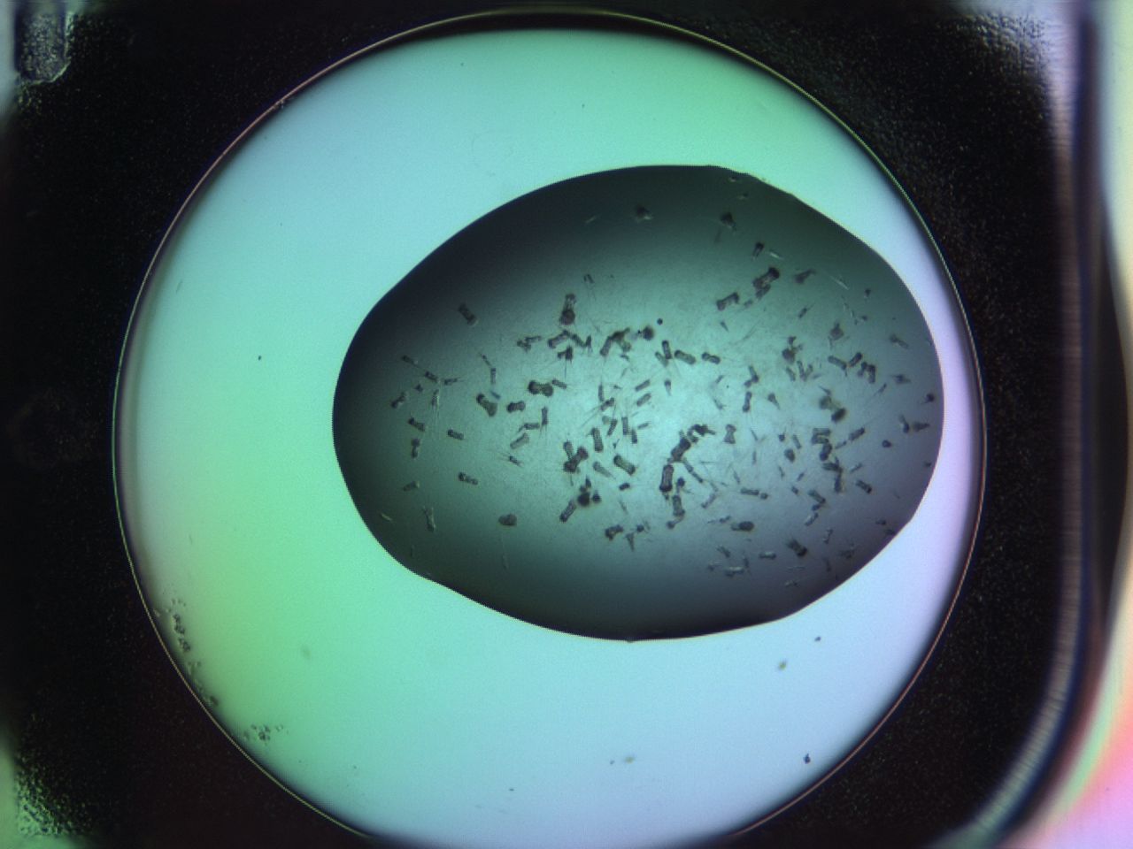 03ic_B11_ImagerDefaults_6.jpg