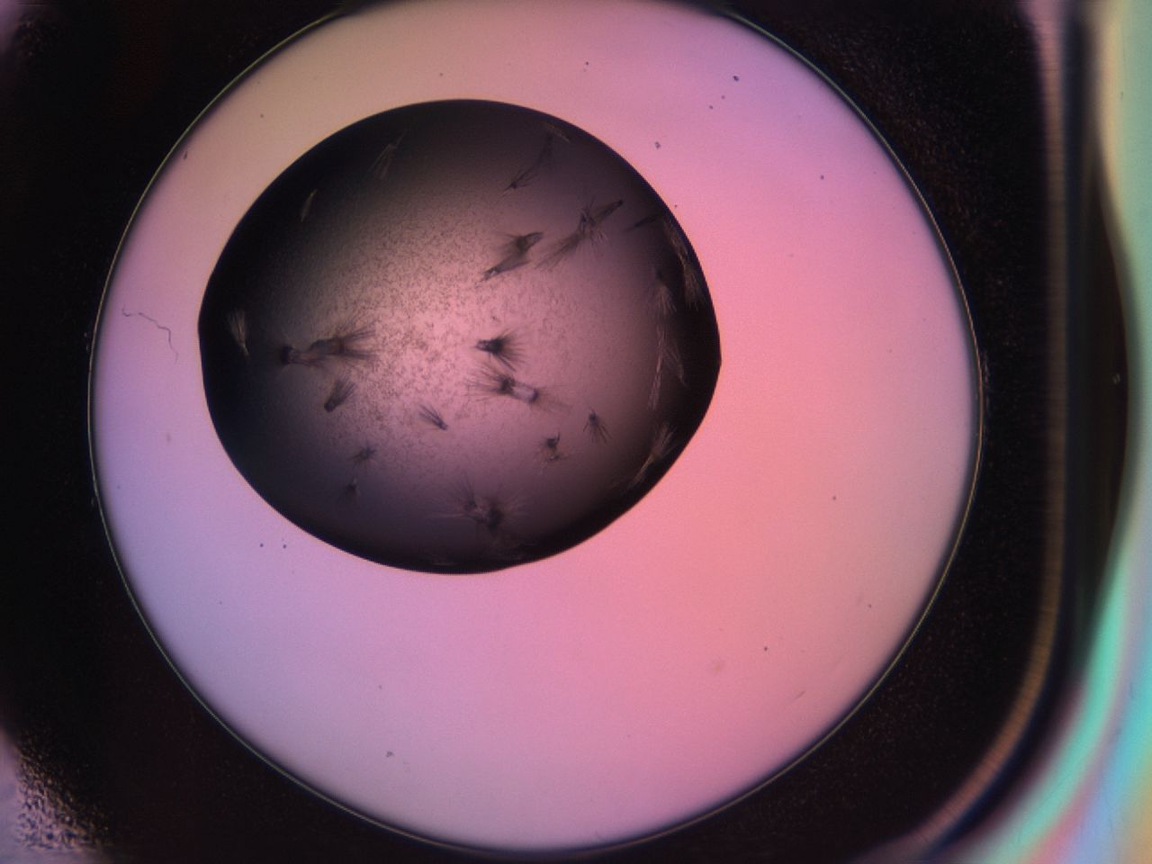 03ic_E1_ImagerDefaults_6.jpg
