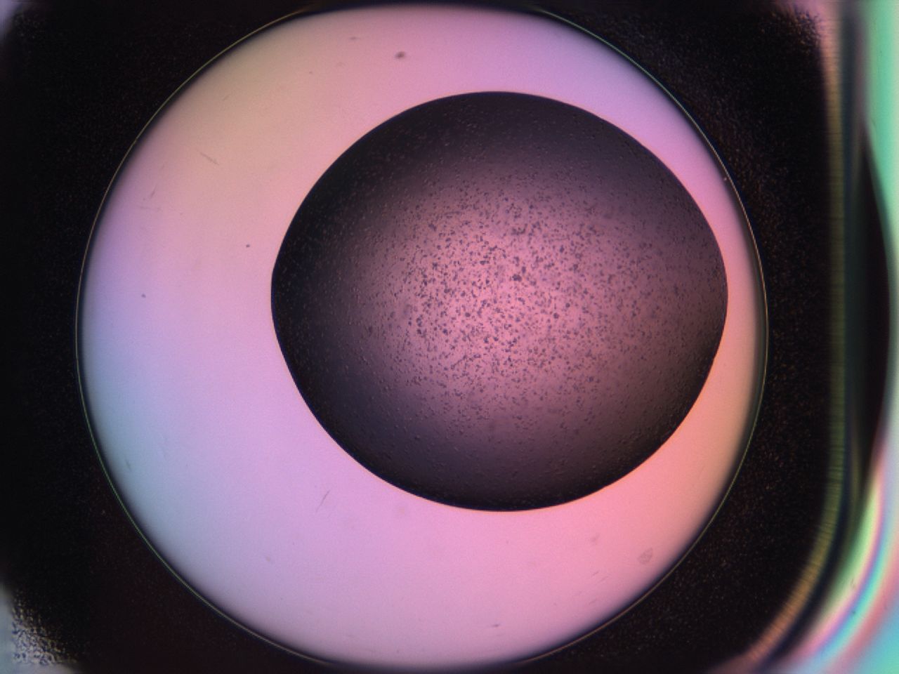 03ic_E8_ImagerDefaults_6.jpg