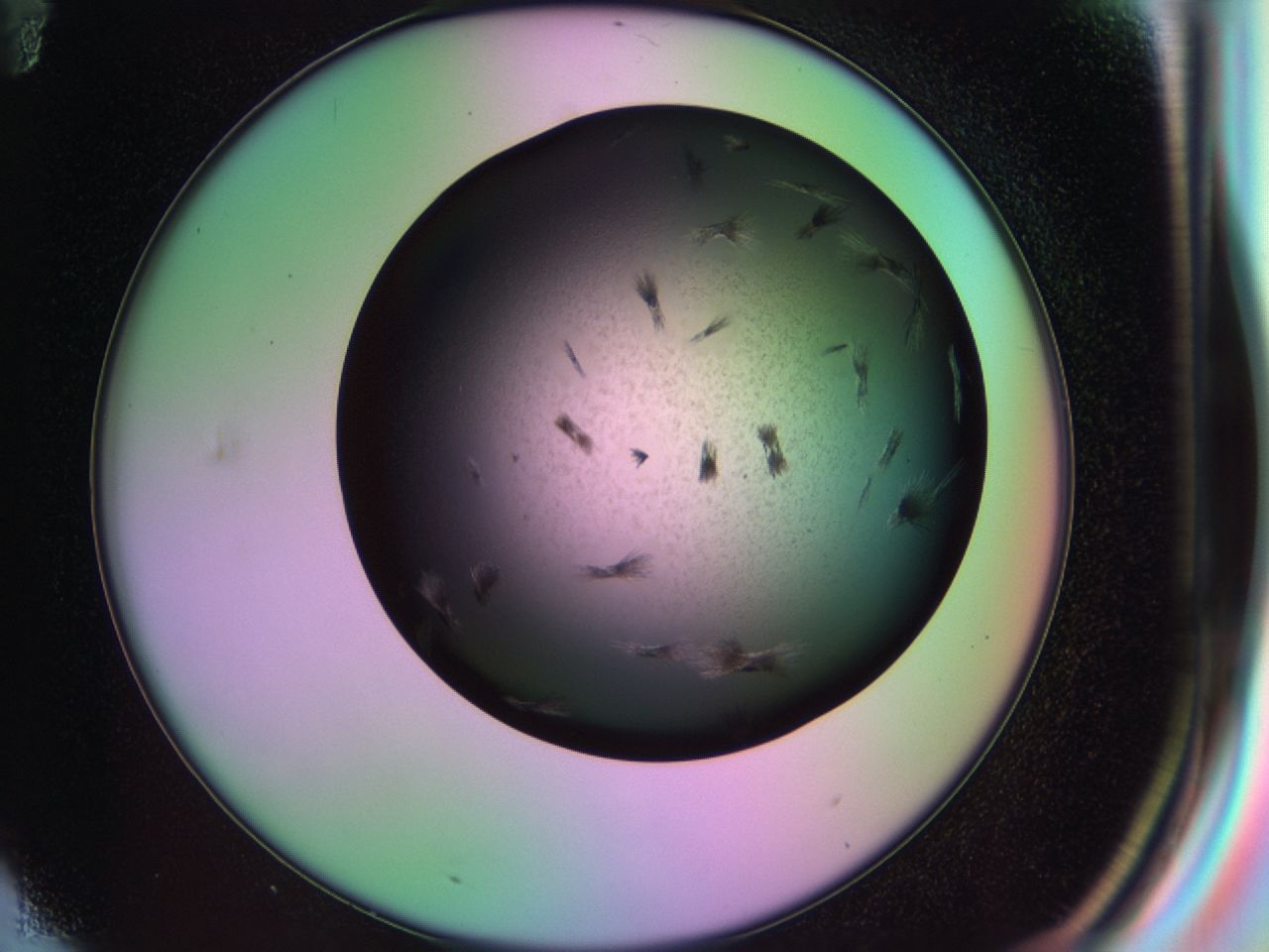 03ic_F11_ImagerDefaults_6.jpg