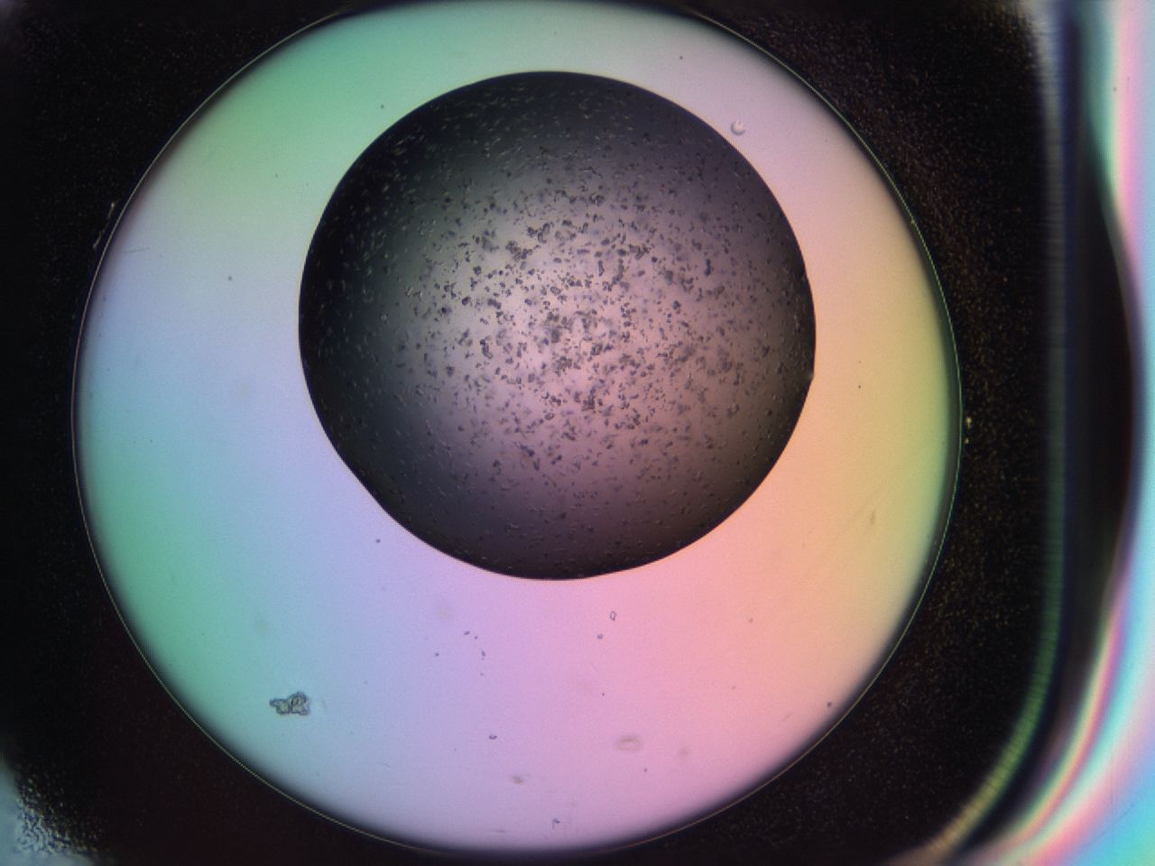 03ic_G5_ImagerDefaults_6.jpg