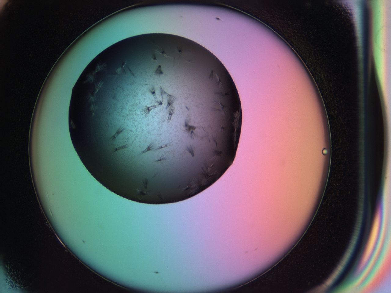 03ic_F9_ImagerDefaults_6.jpg