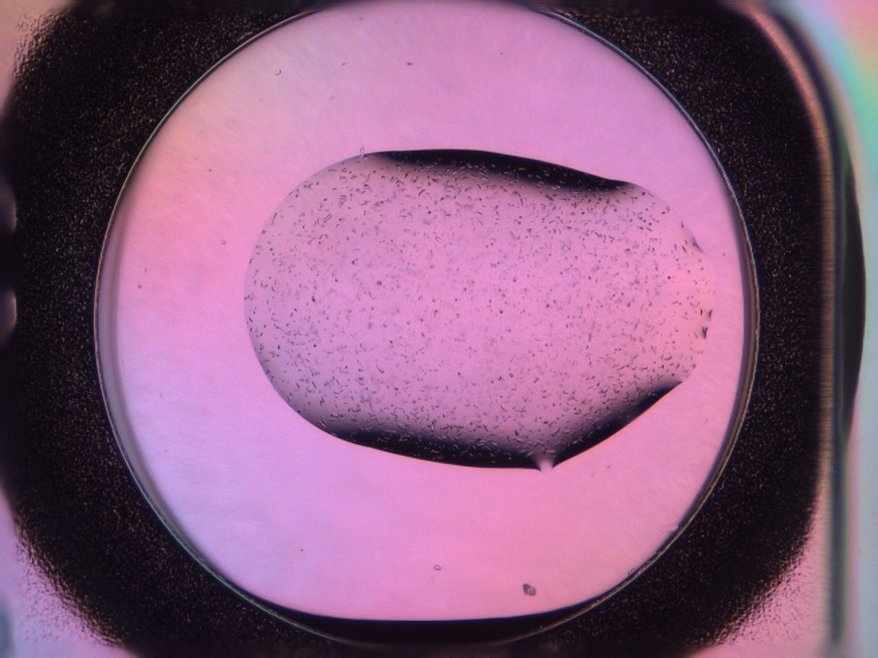 03id_C8_ImagerDefaults_6.jpg