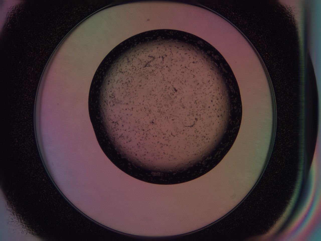 03id_E8_ImagerDefaults_6.jpg