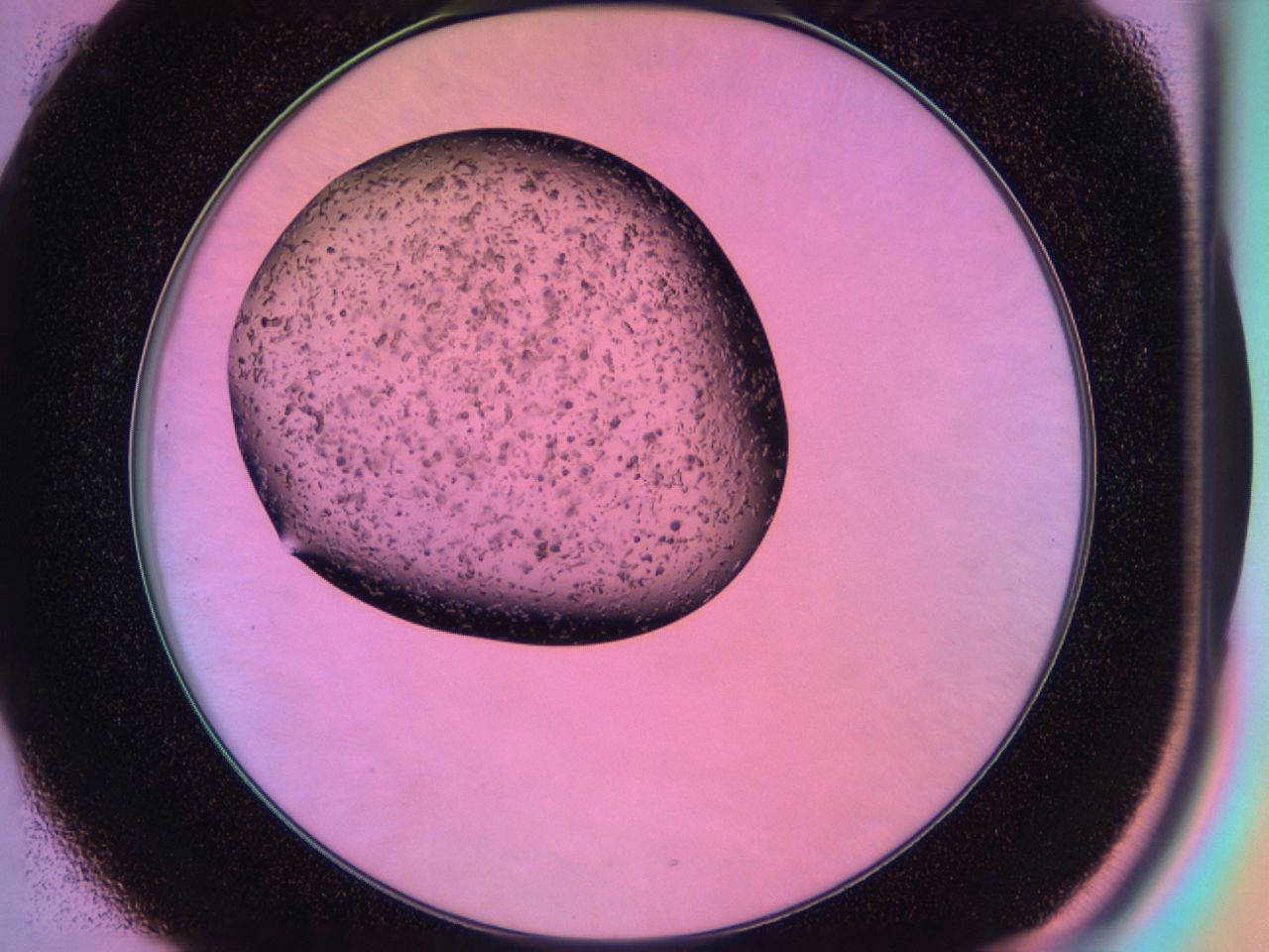 03id_C1_ImagerDefaults_6.jpg