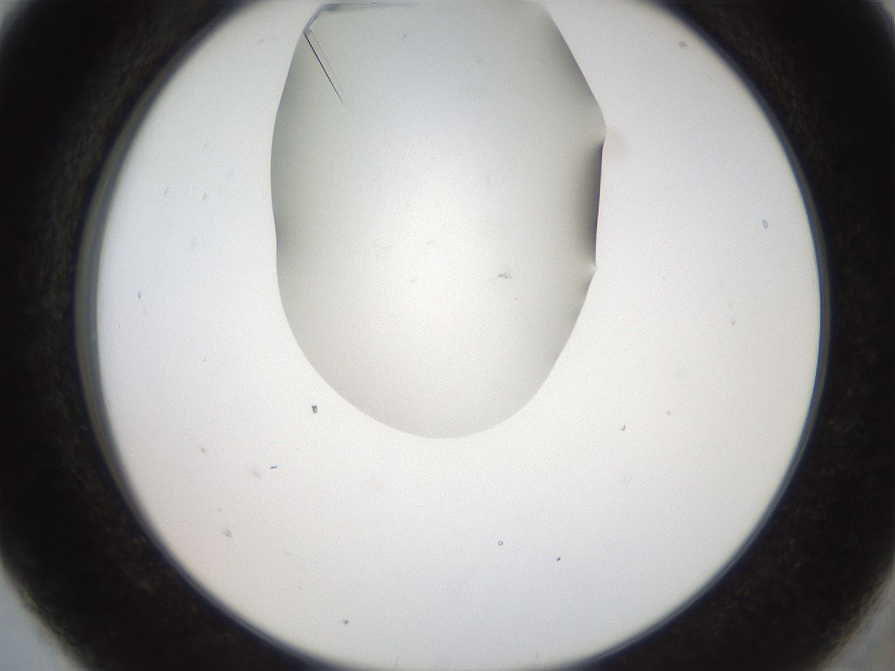 folderID555_plateID2555_batchID12621_wellNum5_profileID1_d2_r194800_ef.jpg