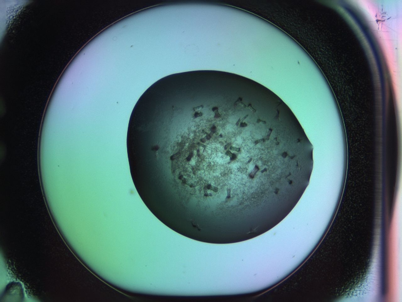 03ii_C11_ImagerDefaults_6.jpg