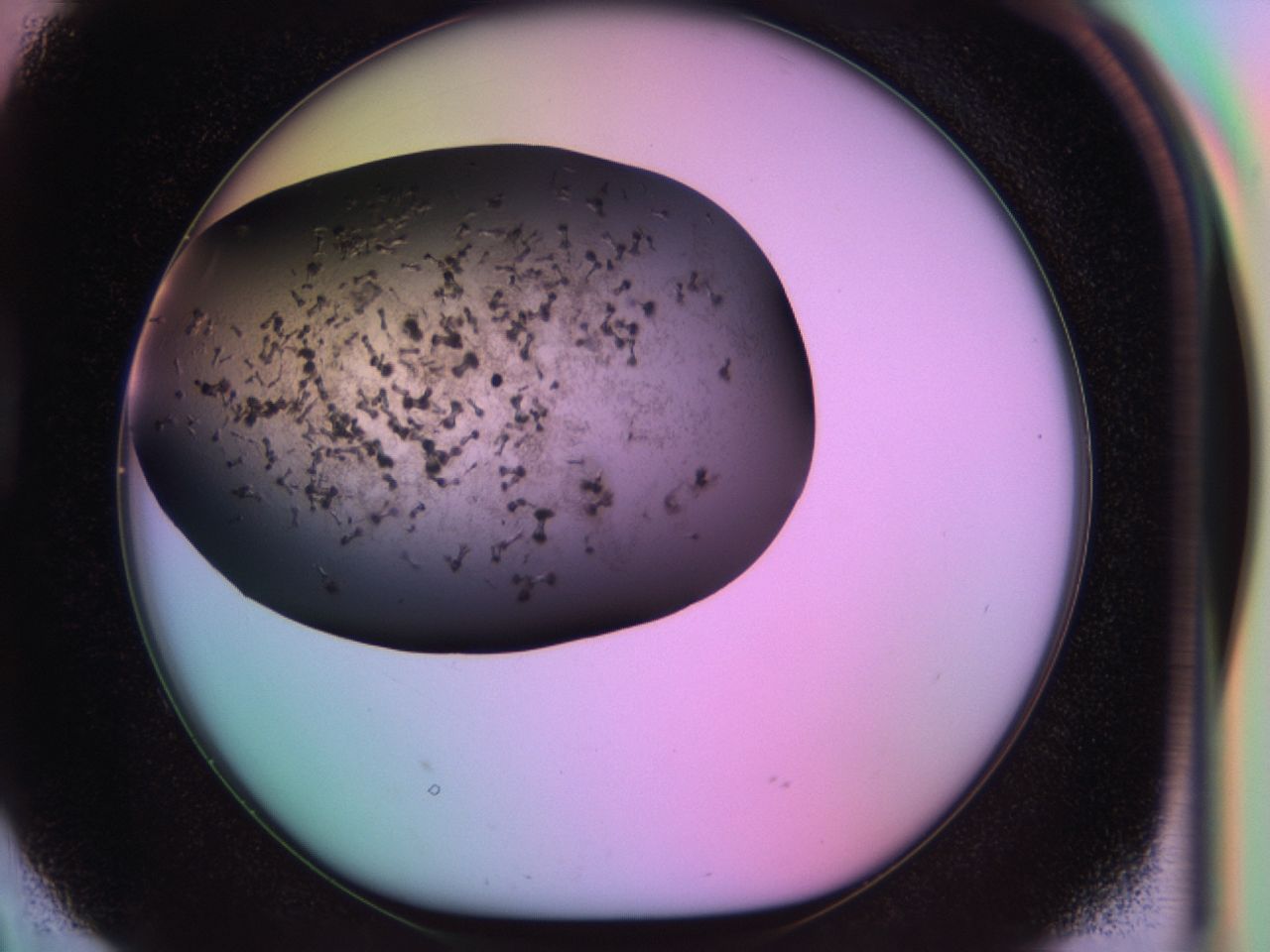 03ii_D2_ImagerDefaults_6.jpg