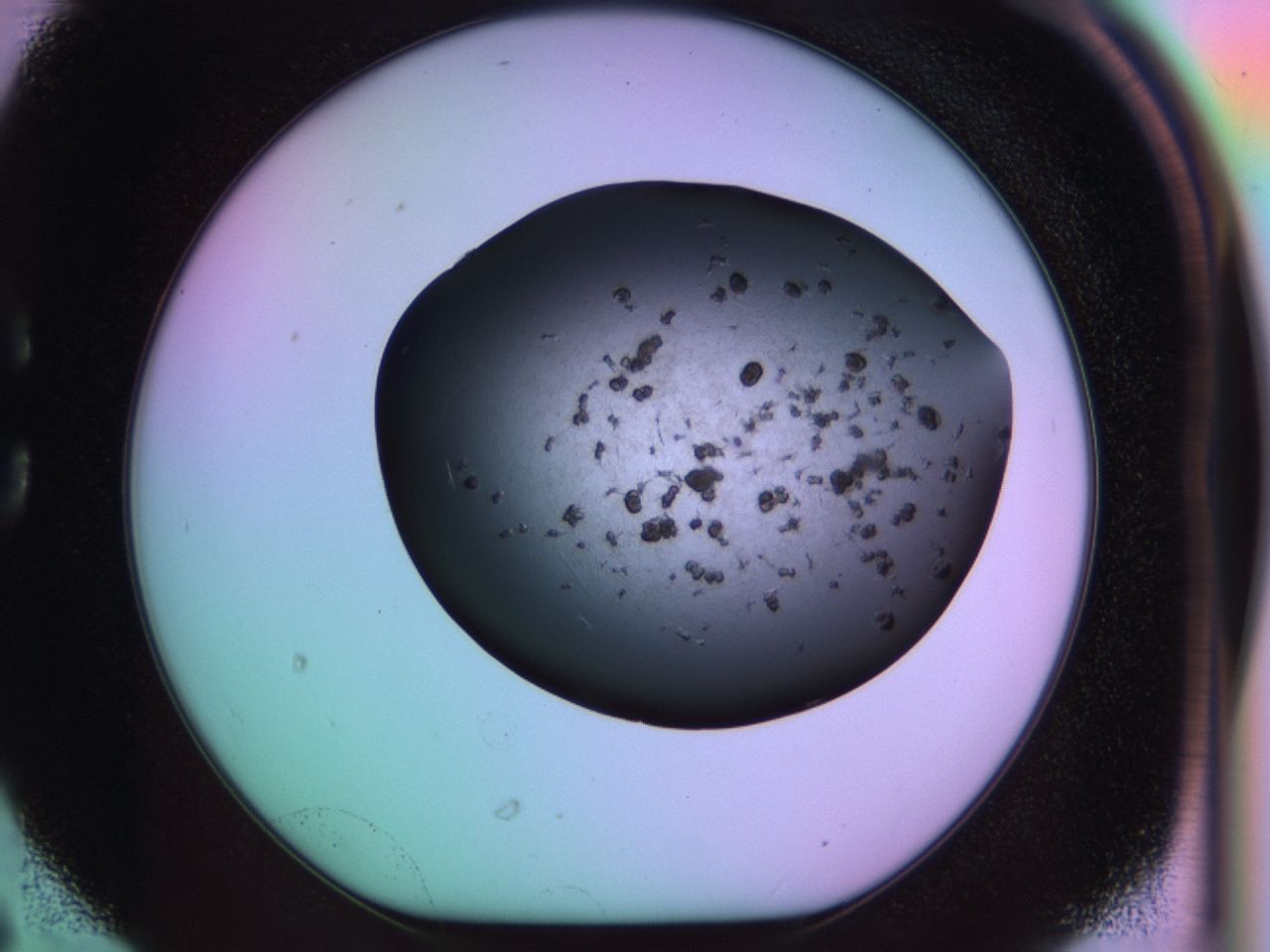 03ii_C6_ImagerDefaults_7.jpg