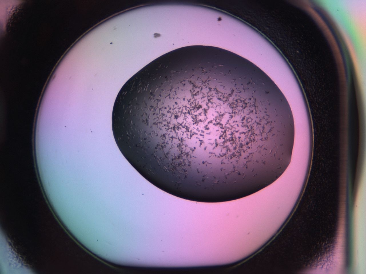 03ii_D8_ImagerDefaults_6.jpg