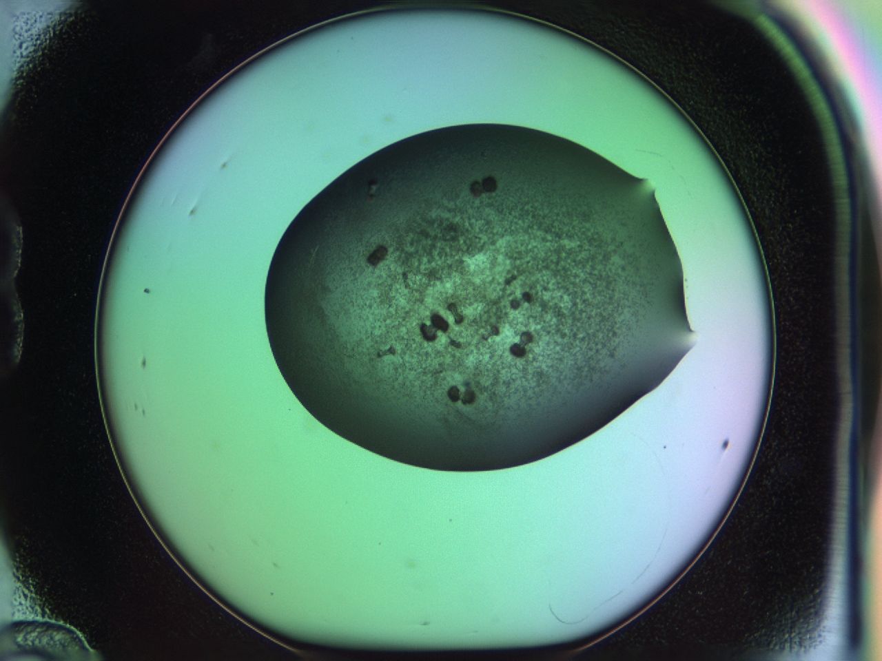 03ik_B12_ImagerDefaults_6.jpg