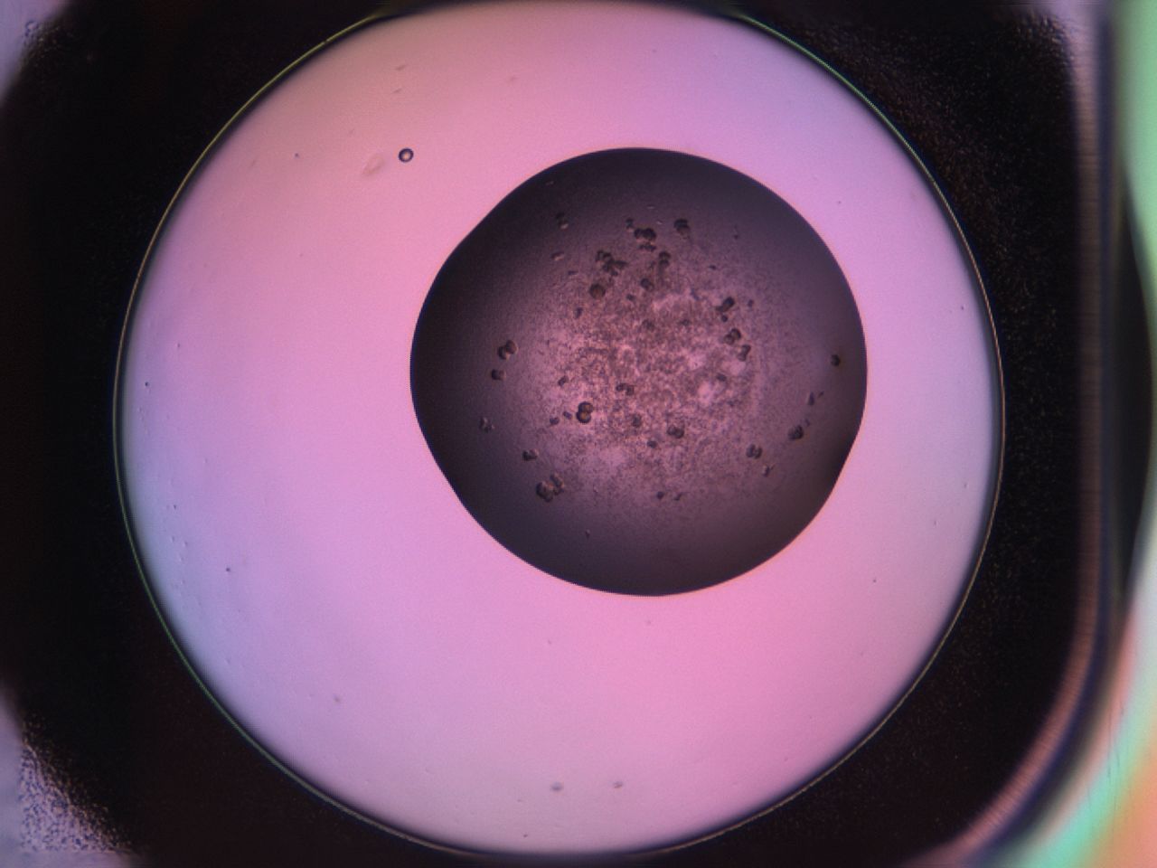 03ik_C1_ImagerDefaults_6.jpg