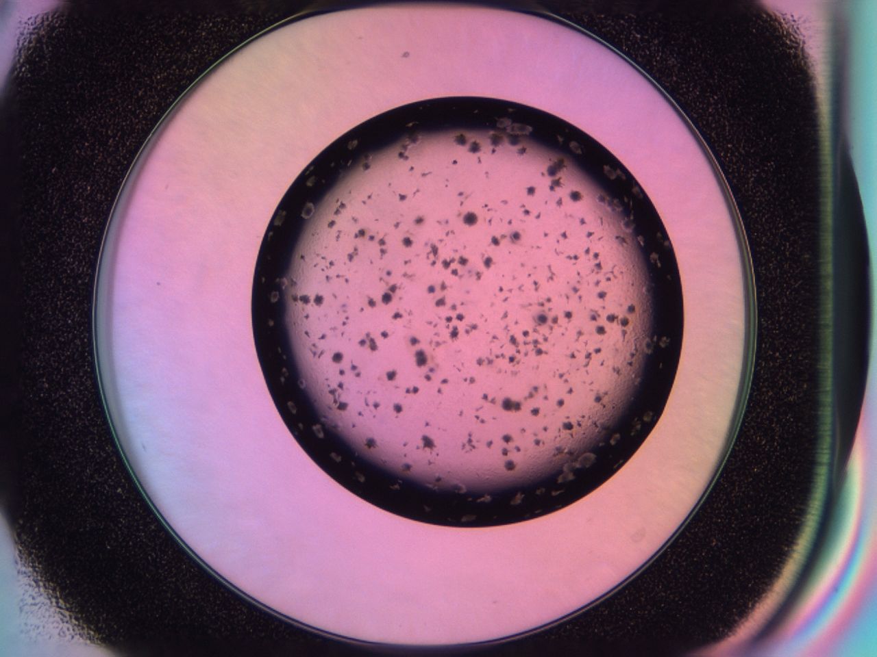 03il_E8_ImagerDefaults_6.jpg