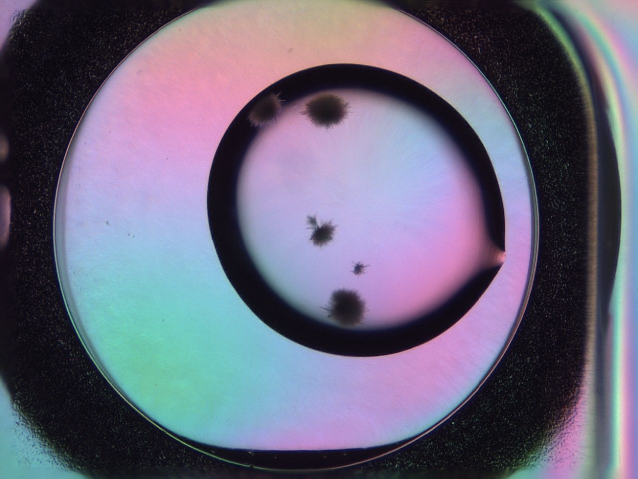 03il_G1_ImagerDefaults_6.jpg