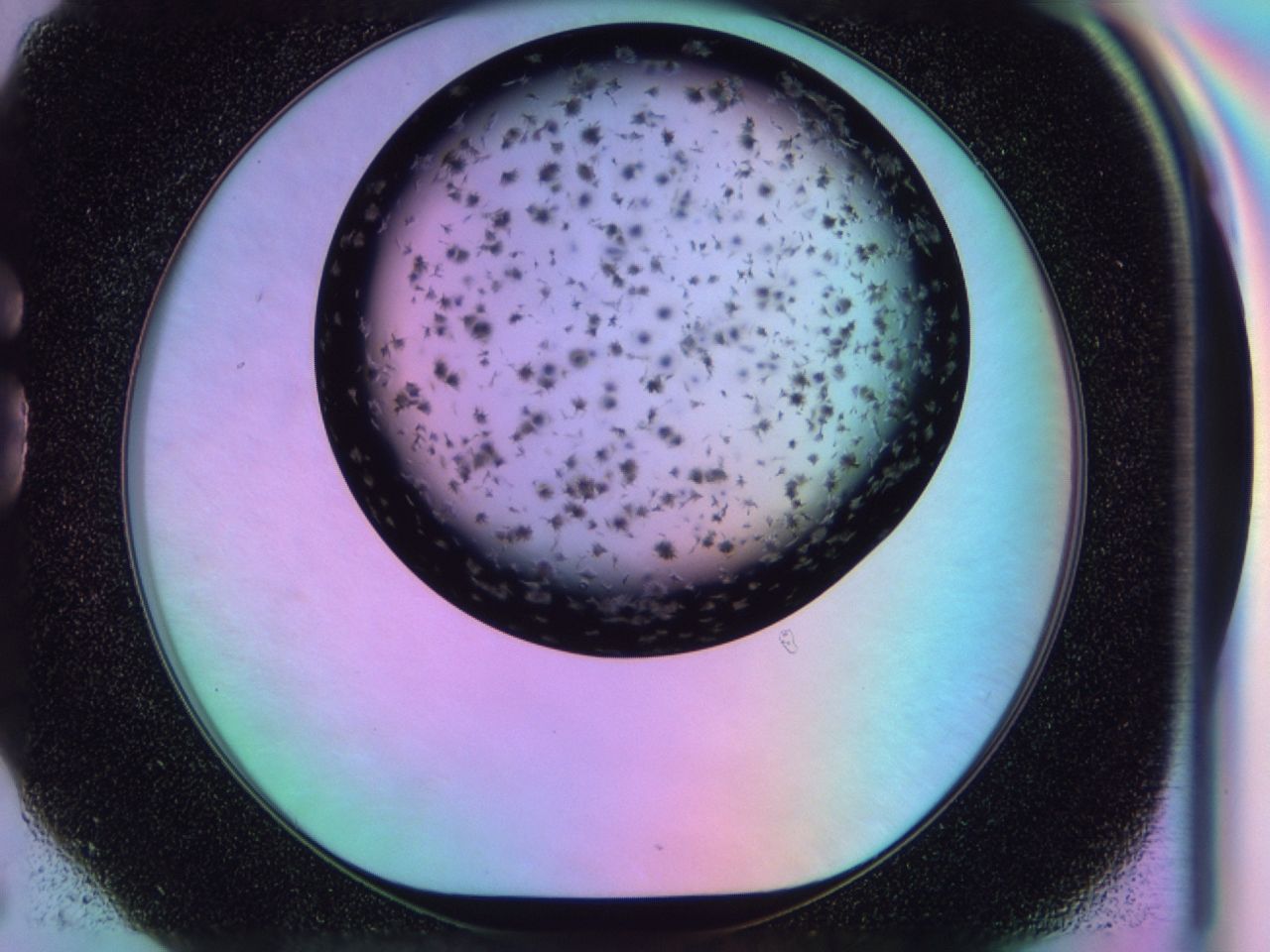 03il_G6_ImagerDefaults_6.jpg