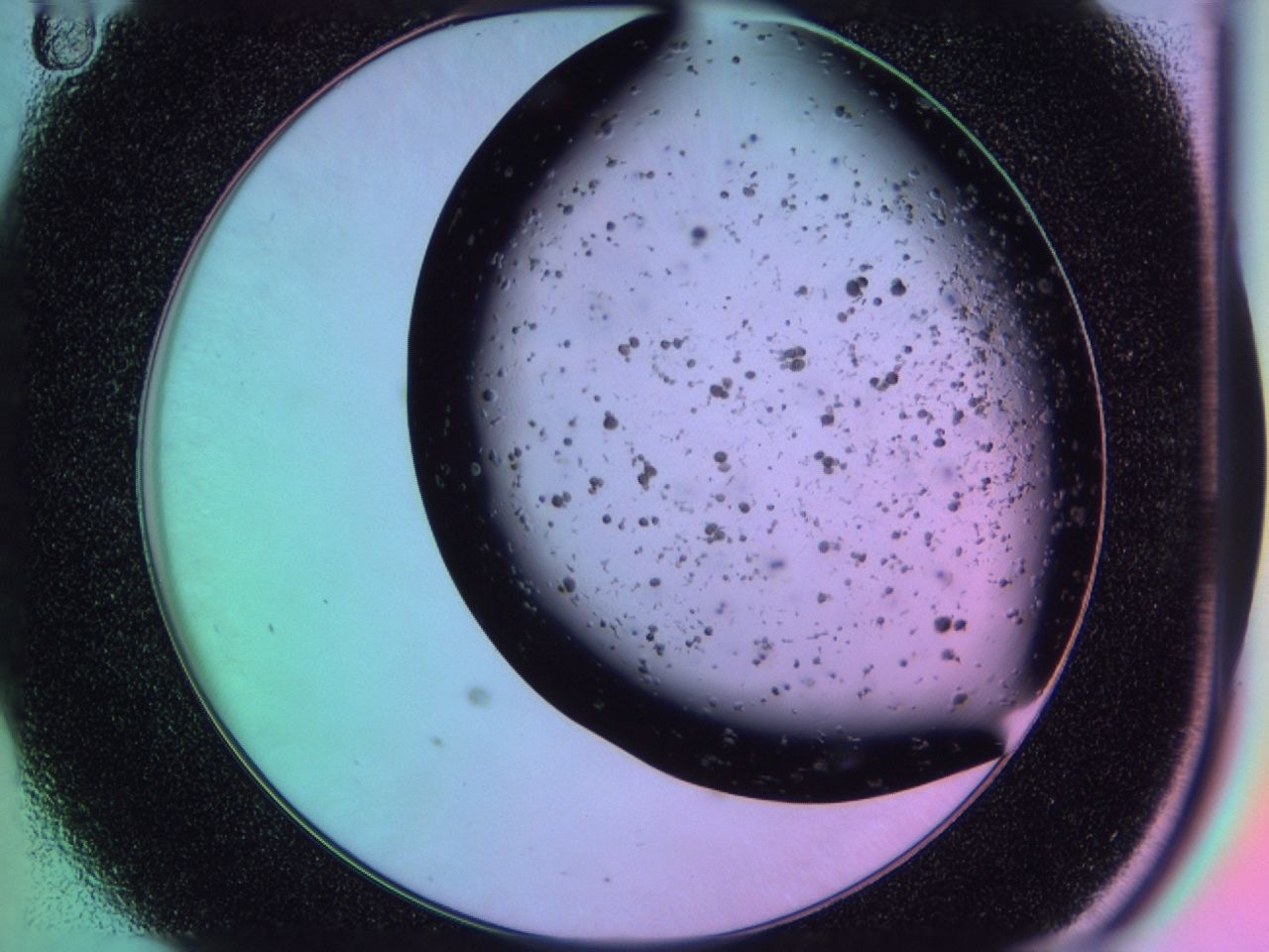 03ir_D11_ImagerDefaults_6.jpg