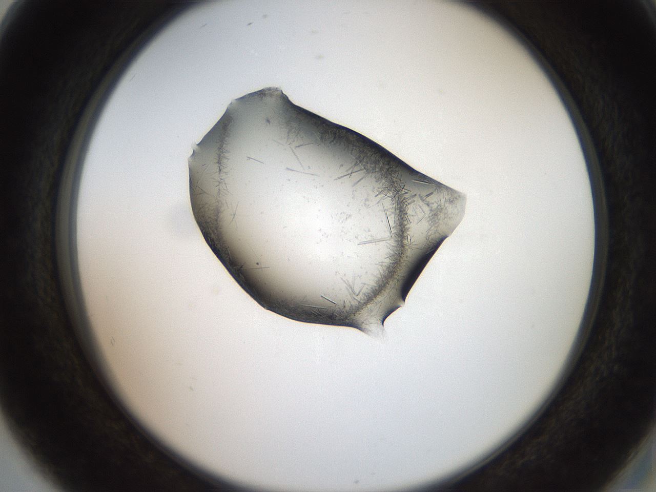 folderID571_plateID2571_batchID12928_wellNum80_profileID1_d2_r196488_ef.jpg