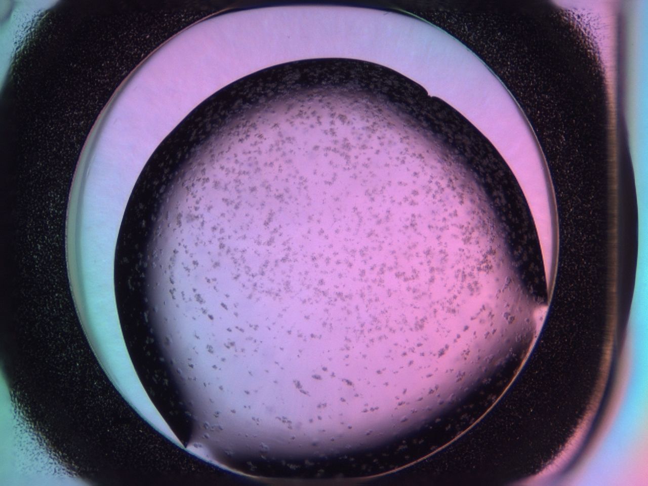 03ir_D6_ImagerDefaults_6.jpg