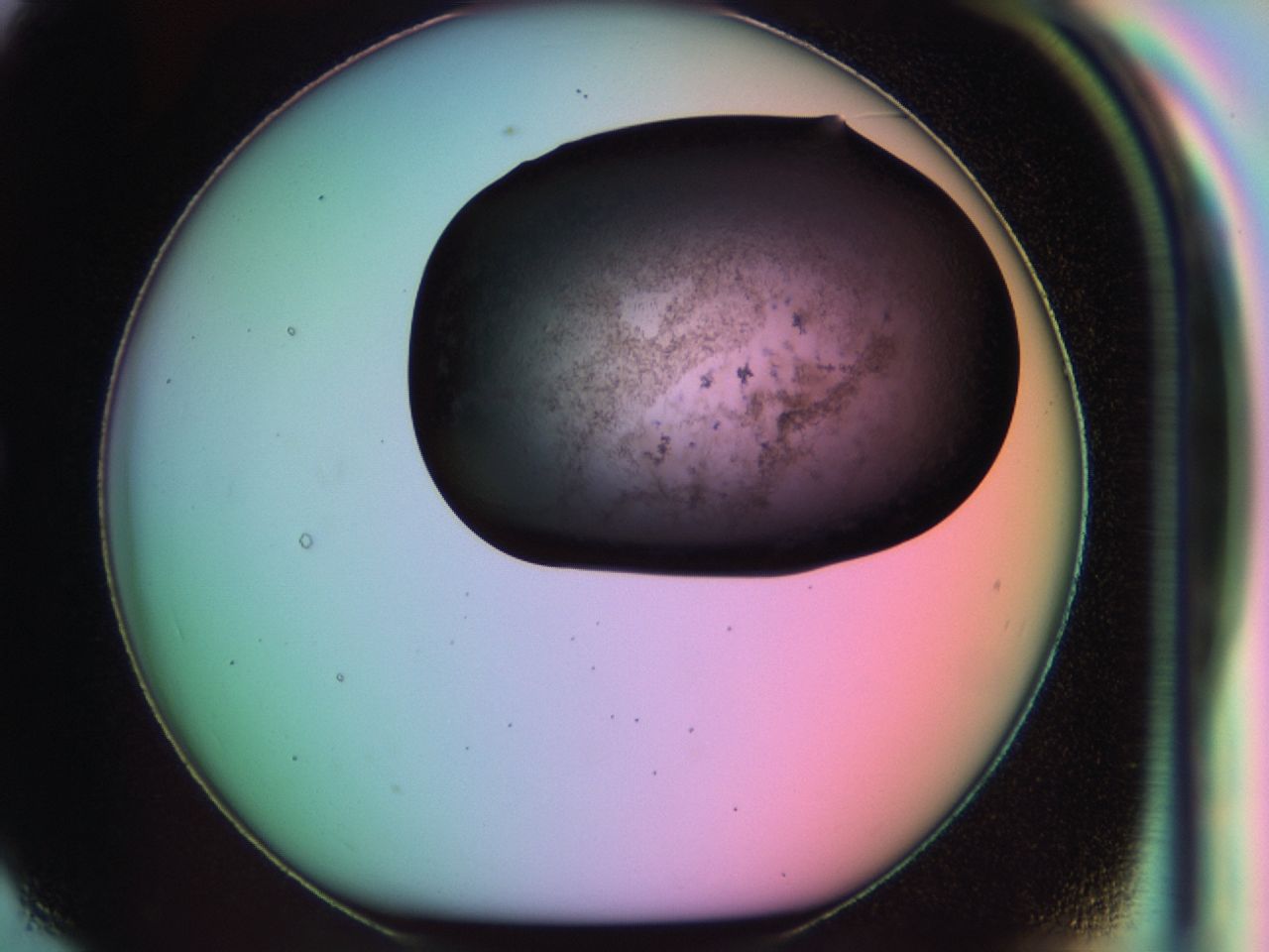 03is_G7_ImagerDefaults_6.jpg
