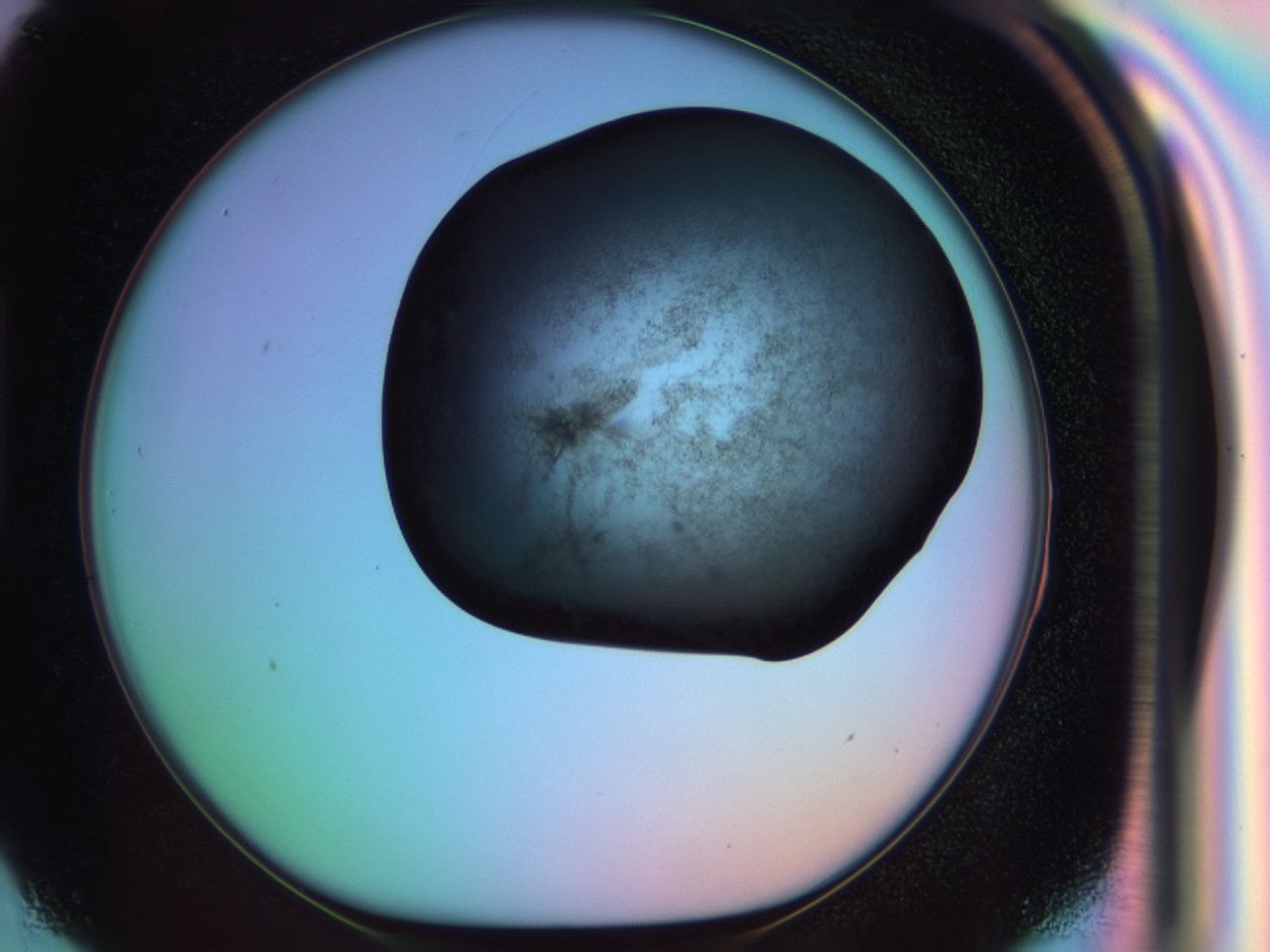 03is_H3_ImagerDefaults_6.jpg